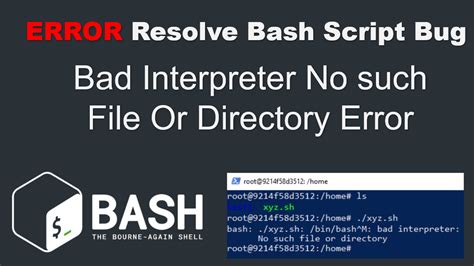 bash script no such file.